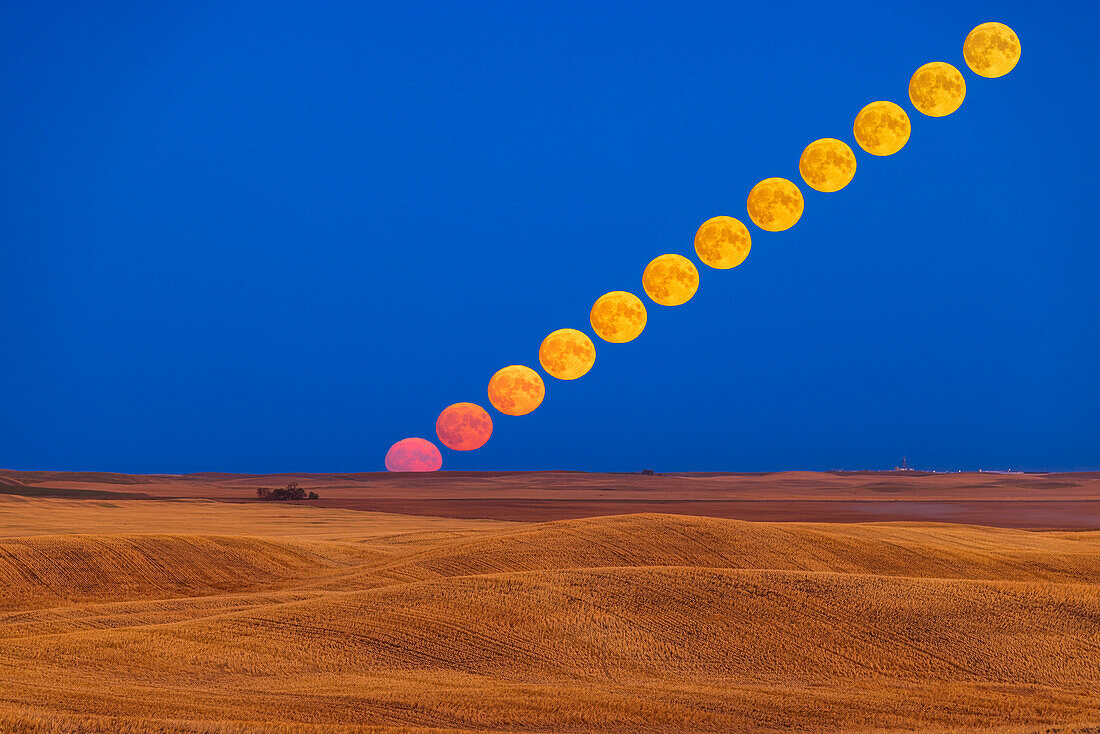 The rising Full Moon of September 9, 2022, the Harvest Moon for 2022, coming up over a rolling harvested prairie field near home in southern Alberta, on a very clear evening.