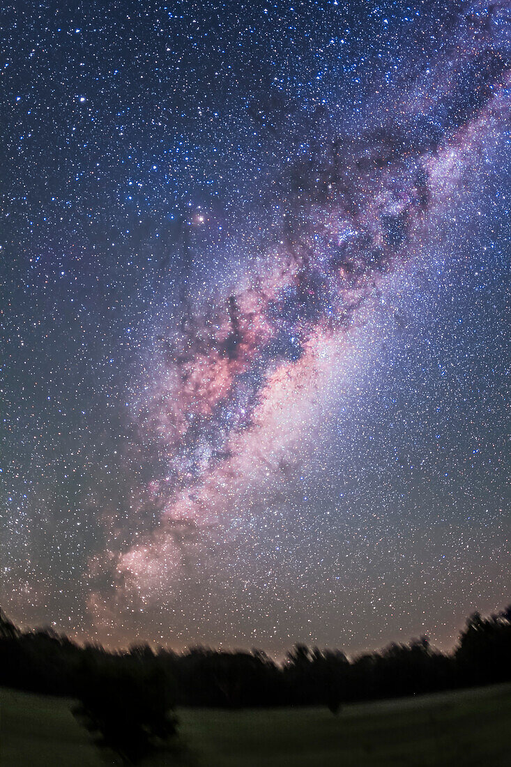 The centre of the Galaxy area in Sagittarius and Scorpius rising in the east, from Australia, on March 30/31, 2014. All of Scorpius is visible as well as Norma, Ara, Lupus and Sagittarius. Scutum is just rising above the gum trees.