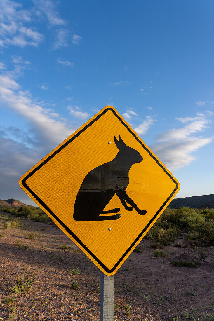 Ein Wildtier-Warnschild für die kaninchenähnliche Patagonische Mara im Talampaya National Park, Provinz La Rioja, Argentinien.