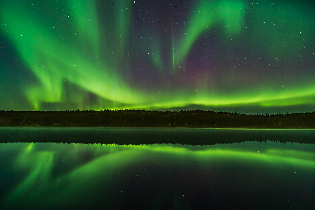 Reflexionen des Nordlichts in den ruhigen und nebligen Gewässern des Madeline Lake auf dem Ingraham Trail in der Nähe von Yellowknife, NWT am 7. September 2019. Dies ist ein Bild aus einer Serie von Spiegelungen. The Big Dipper is at left. Capella ist rechts zu sehen.