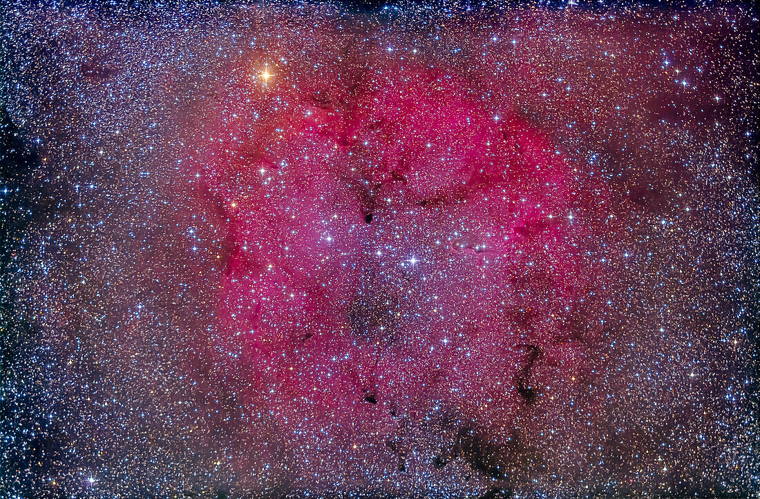 IC 1396, a large faint nebula in Cepheus, sometimes called the Elephant Trunk Nebula, though the actual “Elephant Trunk” feature is the dark protuberance just right of centre called van den Burgh 142 (vdB 142). Also in the frame at top (north) is the red star Mu Cephei, aka the Garnet Star.