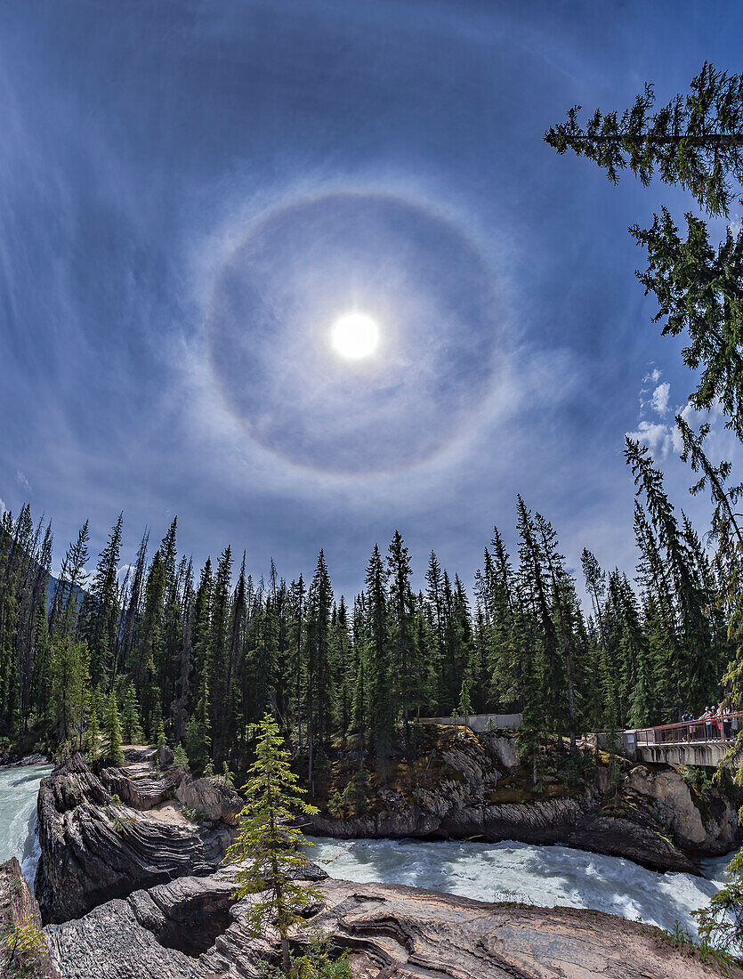 Ein vertikales Panorama eines 22° Sonnenhalos am Himmel über der Natural Bridge und dem Wasserfall am Kicking Horse River im Yoho National Park, BC, 6. Juni 2016. Der Tag war ziemlich heiß, aber dies zeigt, dass man Halos auch an einem heißen Sommertag bekommen kann, da die Eiskristallwolken, die den Halo verursachen, hoch oben und kalt sind!