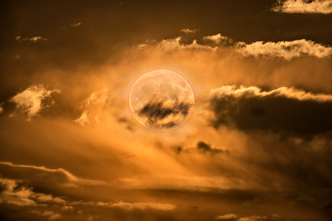 The well-publicized - if not overly publicized! - supermoon (a perigee Full Moon) of November 14, 2016, seen here about 3 degrees above the horizon, rising out of low clouds. The yellow colour is natural, and illuminated the field with a golden glow. However, this is a stack of 4 exposures, from long to short, to create an “HDR” style stack as the longest exposure needed for the clouds blew out the bright Moon. A short exposure was needed for the Moon itself. I took 4 exposures at about 2 stop increments from 1.5 seconds to 1/15 second and blended them not with HDR software but with luminosity