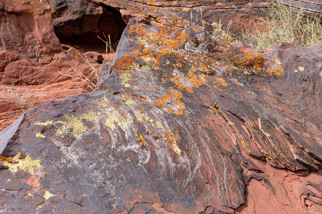 A boulder covered with colorful lichens near the Puerta del Cañon in Talampaya National Park, La Rioja Province, Argentina.