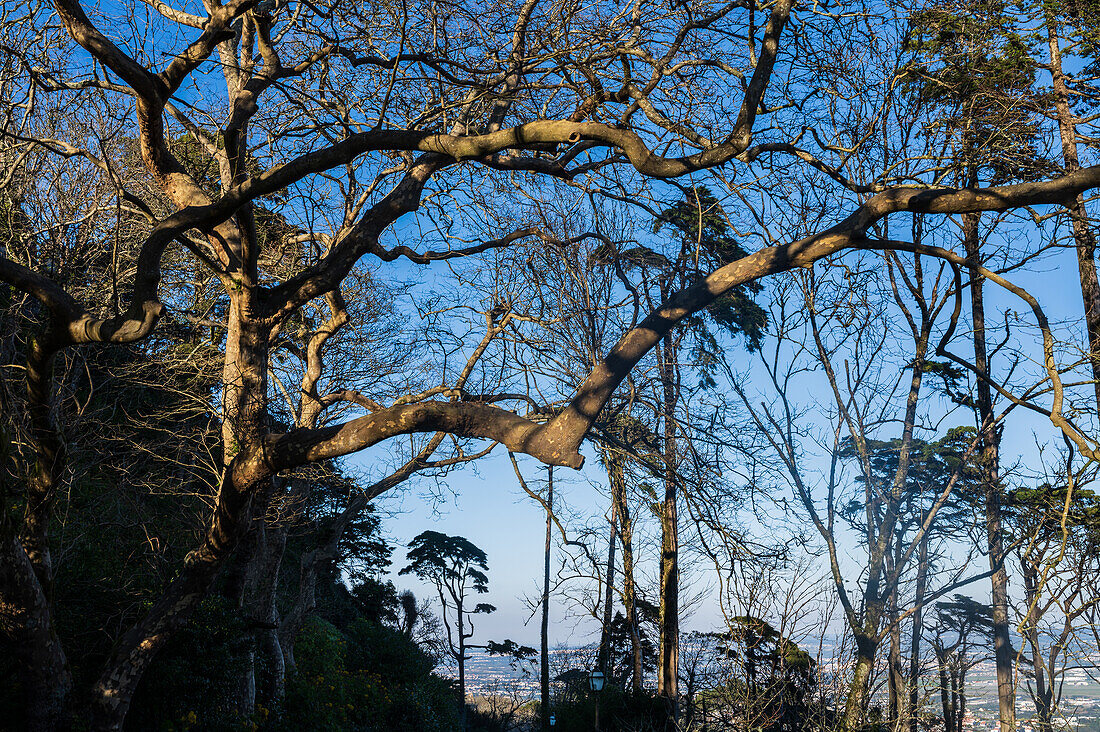 Park and National Palace of Pena (Palacio de la Pena), Sintra, Portugal