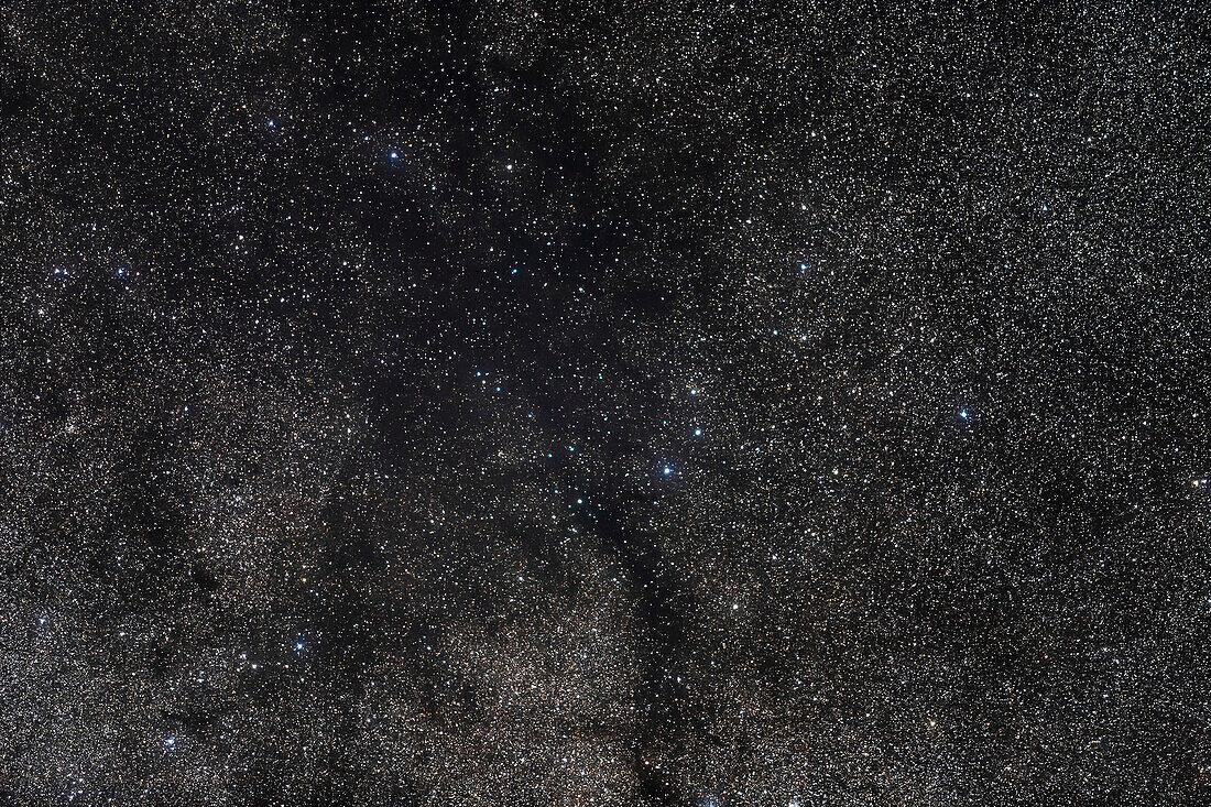 Der Dunkelnebel an der Grenze zwischen Cygnus und Cepheus trägt den Spitznamen Trichterwolkennebel (ein Name, der von Alan Whitman in einem Artikel in Sky and Telescope aus dem Jahr 2006 gegeben wurde), ist aber ein sehr auffälliges Merkmal der nördlichen Milchstraße, das mit bloßem Auge deutlicher zu erkennen ist als der nördliche Kohlensack im Süden. Dies ist ein schönes Objekt für ein Fernglas, und die hier gezeigte Aufnahme mit dem Teleobjektiv entspricht dem Sehfeld der meisten Ferngläser.
