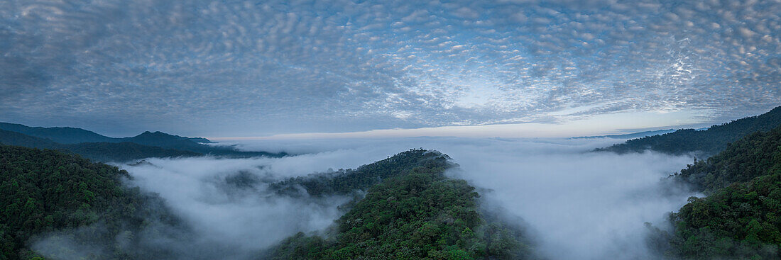 Luftaufnahme von The Cloudforest, Mashpi, Reserva Mashpi Amagusa, Pichincha, Ecuador, Südamerika