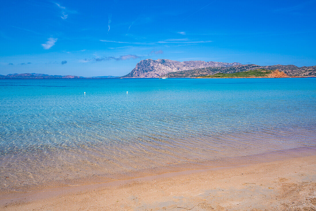 Blick auf den Strand Capo Coda Cavallo und die Isola di Tavolara im Hintergrund, Sardinien, Italien, Mittelmeer, Europa