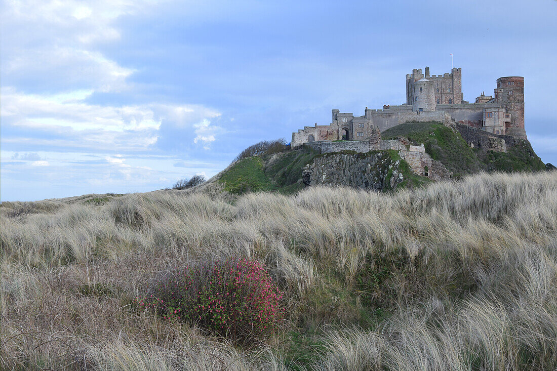 Bamburgh Castle, Bamburgh, Northumberland Küste, Northumbria, England, Vereinigtes Königreich, Europa