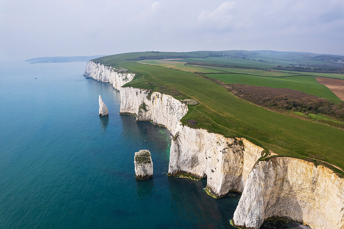 Aerial view of the white cliffs of Old Harry Rocks, Jurassic Coast, UNESCO World Heritage Site, Studland, Dorset, England, United Kingdom, Europe