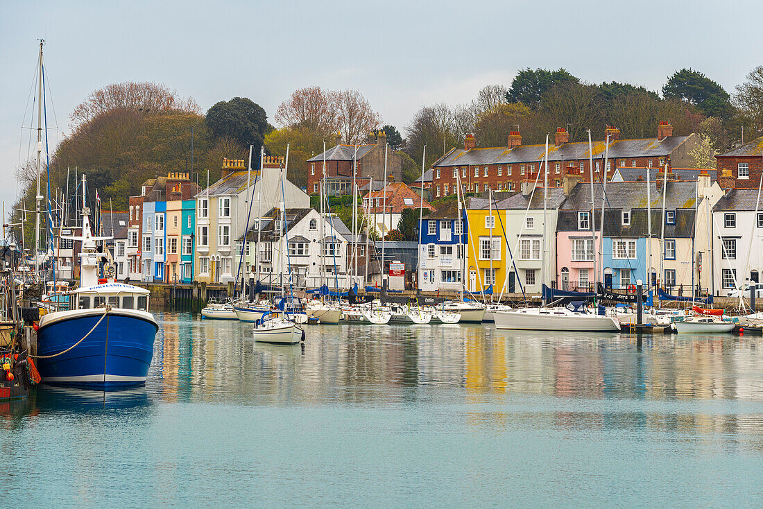 Blick auf die bunten Häuser und Fischerboote rund um den Yachthafen des beliebten Küstenortes Weymouth, Jurassic Coast, Dorset, England, Vereinigtes Königreich, Europa