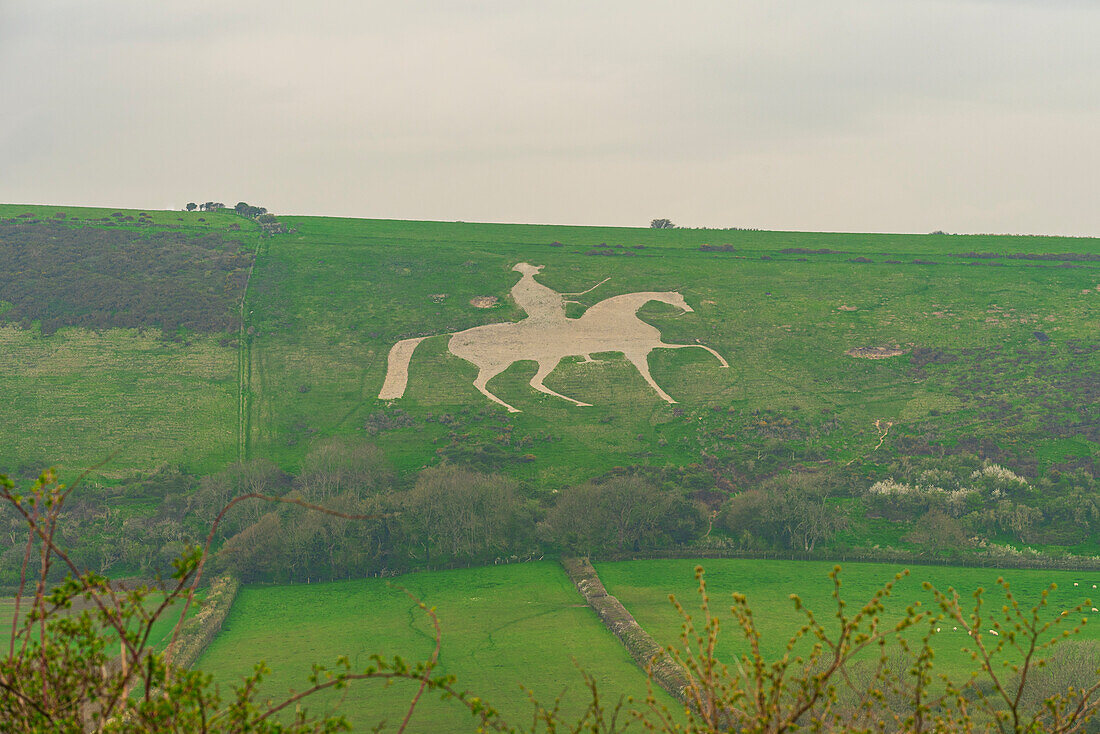Die berühmte in den Kalkstein gehauene Hügelfigur des White Horse of Osmington Hill, Weymouth, Dorset, England, Vereinigtes Königreich, Europa