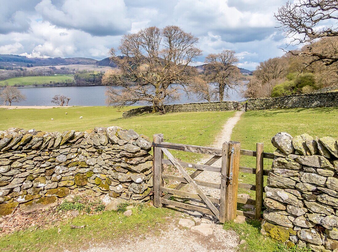 Trockenmauer und Tor an einem Weg, der dem Südufer des Ullswater folgt, Lake District National Park, UNESCO Weltkulturerbe, Cumbria, England, Vereinigtes Königreich, Europa