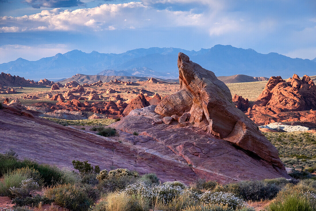 Felsformationen und Wüstenlandschaft bei Sonnenuntergang, Valley of Fire State Park, Nevada, Vereinigte Staaten von Amerika, Nordamerika
