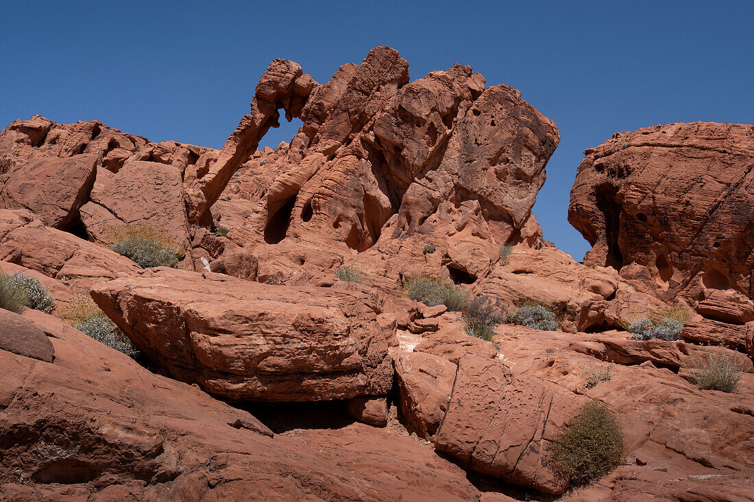 Elefantenfelsen, Natürliche Felsformation, Valley of Fire State Park, Nevada, Vereinigte Staaten von Amerika, Nordamerika