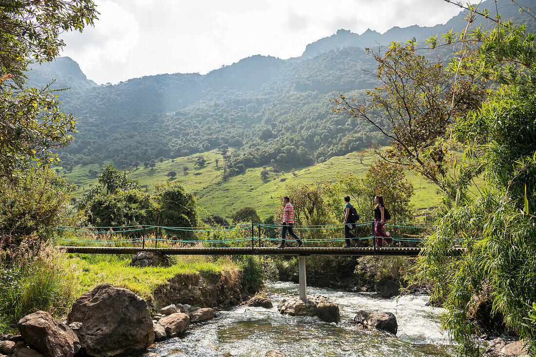 Hikers crossing bridge, Termas de Papallacta, Napo, Ecuador, South America