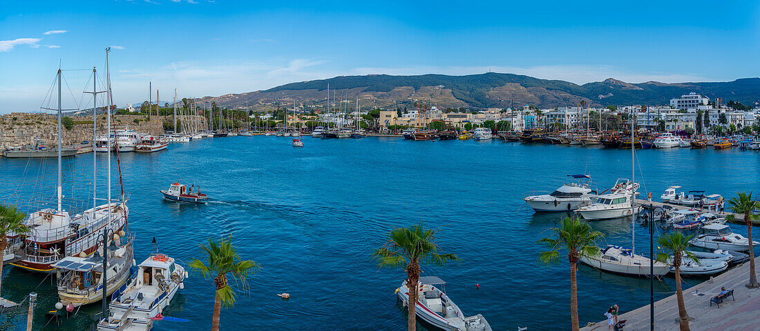 Blick auf Boote im Hafen von Kos-Stadt von erhöhter Position, Kos, Dodekanes, Griechische Inseln, Griechenland, Europa