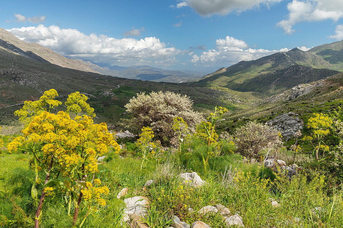 Kedros Massif, Crete, Greek Islands, Greece, Europe