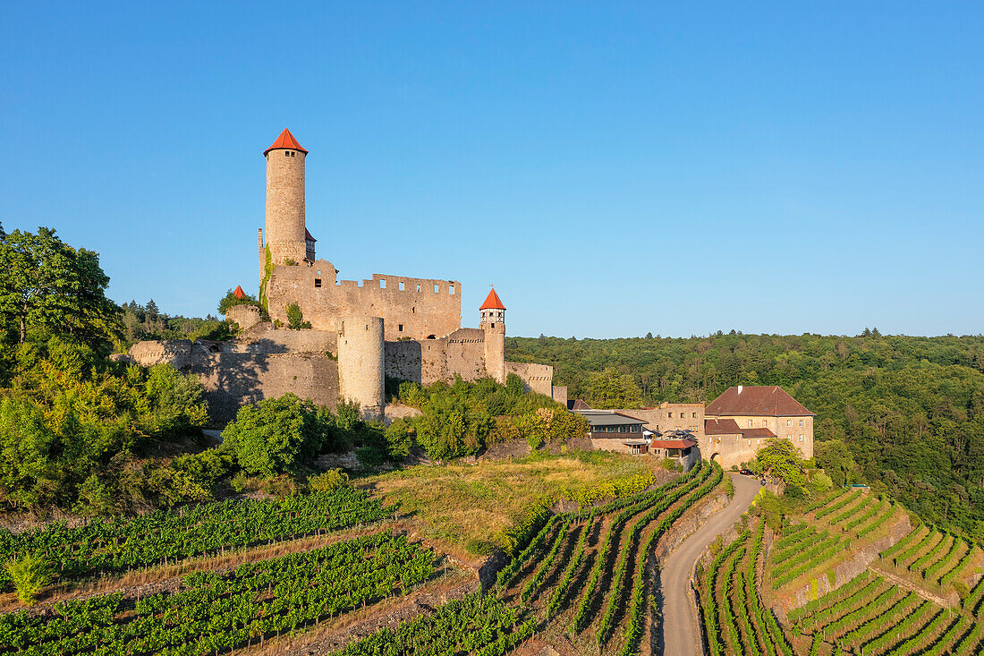 Hornberg Castle, Neckarzimmern, Neckartal Valley, Odenwald, Burgenstrasse, Baden-Wurttemberg, Germany, Europe