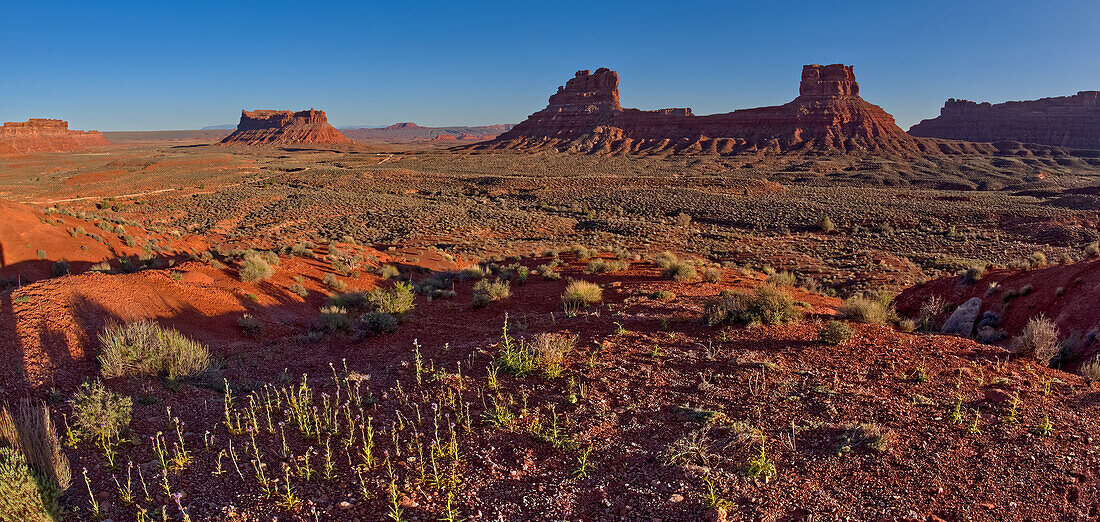 Valley of the Gods viewed from the south slope of the rock formation called Rudolph and Santa, northwest of Monument Valley and Mexican Hat, Utah, United States of America, North America