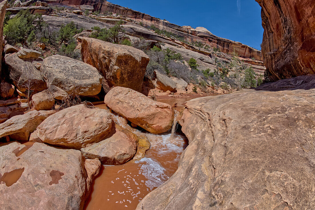 Ein kleiner Wasserfall nahe der Kachina Bridge im Deer Canyon, Natural Bridges National Monument, Utah, Vereinigte Staaten von Amerika, Nordamerika