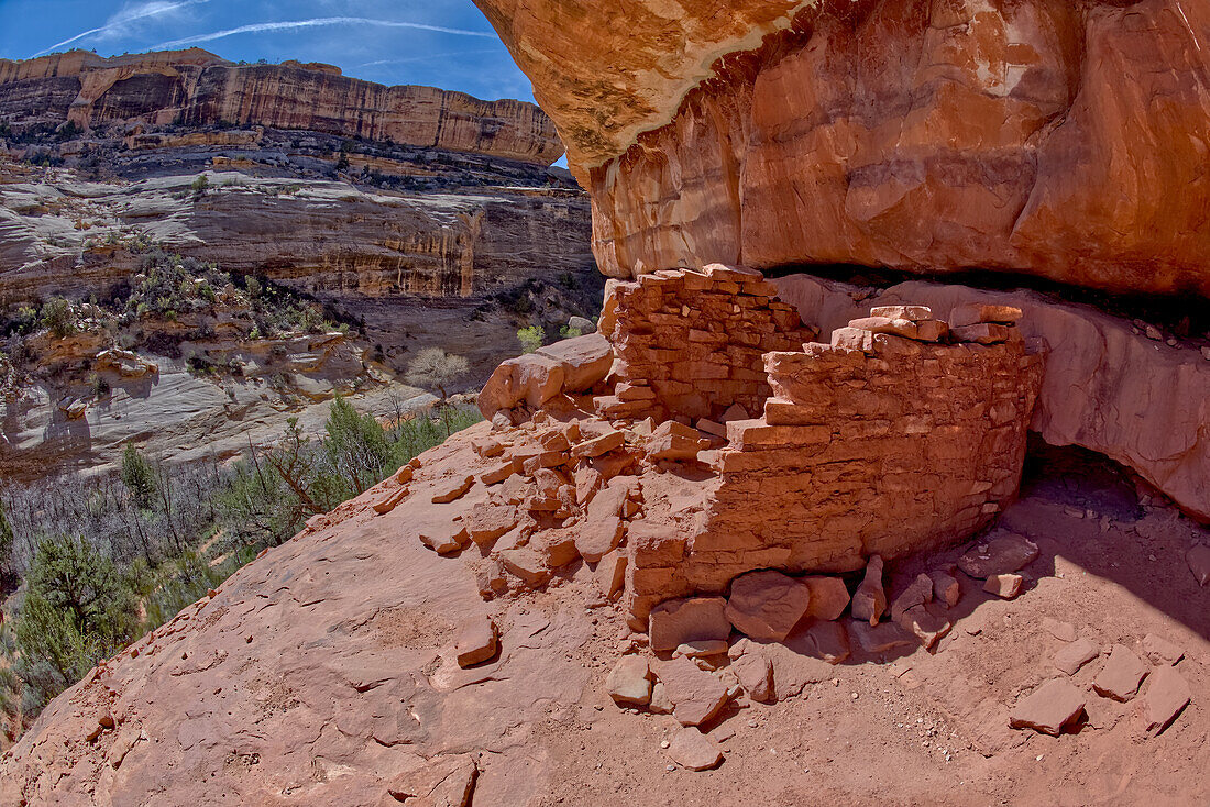 The Horse Collar Ruins located between the Sipapu Arch Bridge and the Kachina Arch Bridge, Natural Bridges National Monument, Utah, United States of America, North America