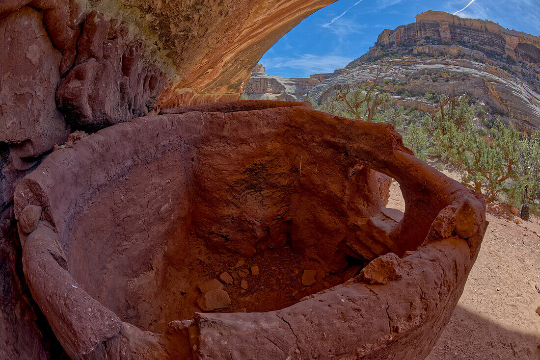 The Horse Collar Ruins located between the Sipapu Arch Bridge and the Kachina Arch Bridge, Natural Bridges National Monument, Utah, United States of America, North America