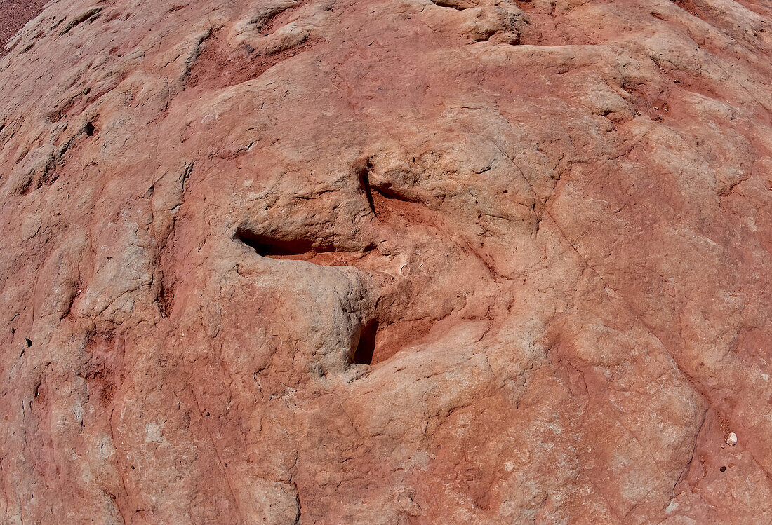 Dinosaur tracks at a tourist attraction on the Navajo Indian Reservation near Tuba City, Arizona, United State of America, North America