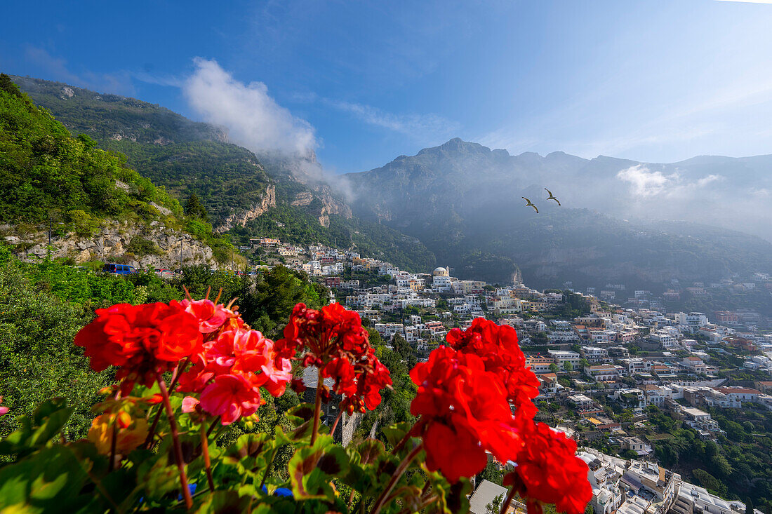 View of the town in Spring, Positano, Amalfi Coast (Costiera Amalfitana), UNESCO World Heritage Site, Campania, Italy, Europe