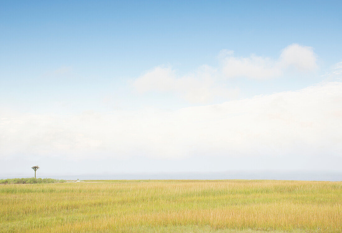 Sky above grass near beach