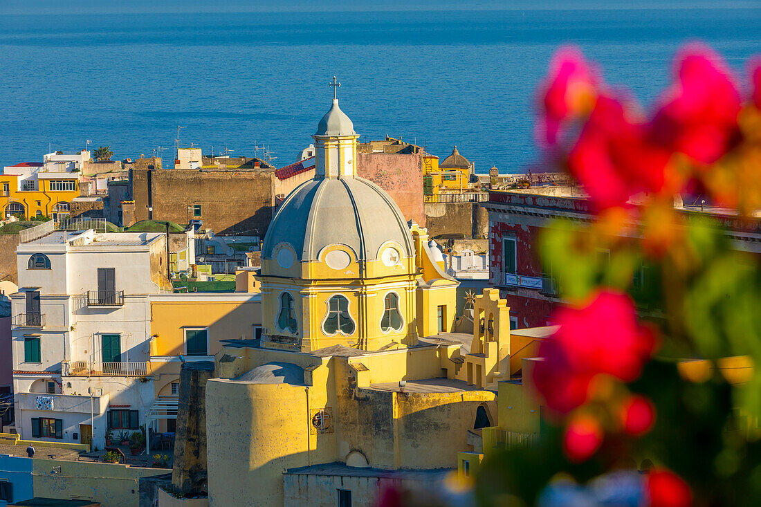 Marina di Corricella, Procida, Flegreische Inseln, Kampanien, Italien, Europa