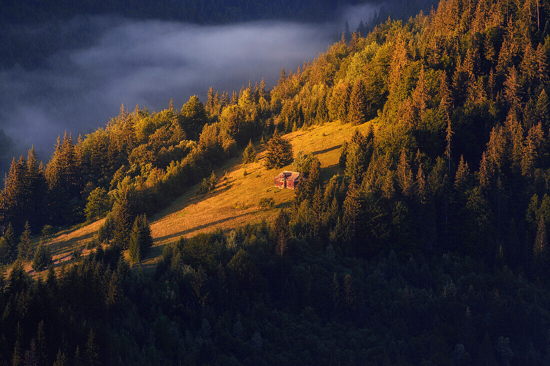 Ukraine, Ivano Frankivsk region, Verkhovyna district, Dzembronya village, Sunlight rolling landscape in Carpathian Mountains at sunset