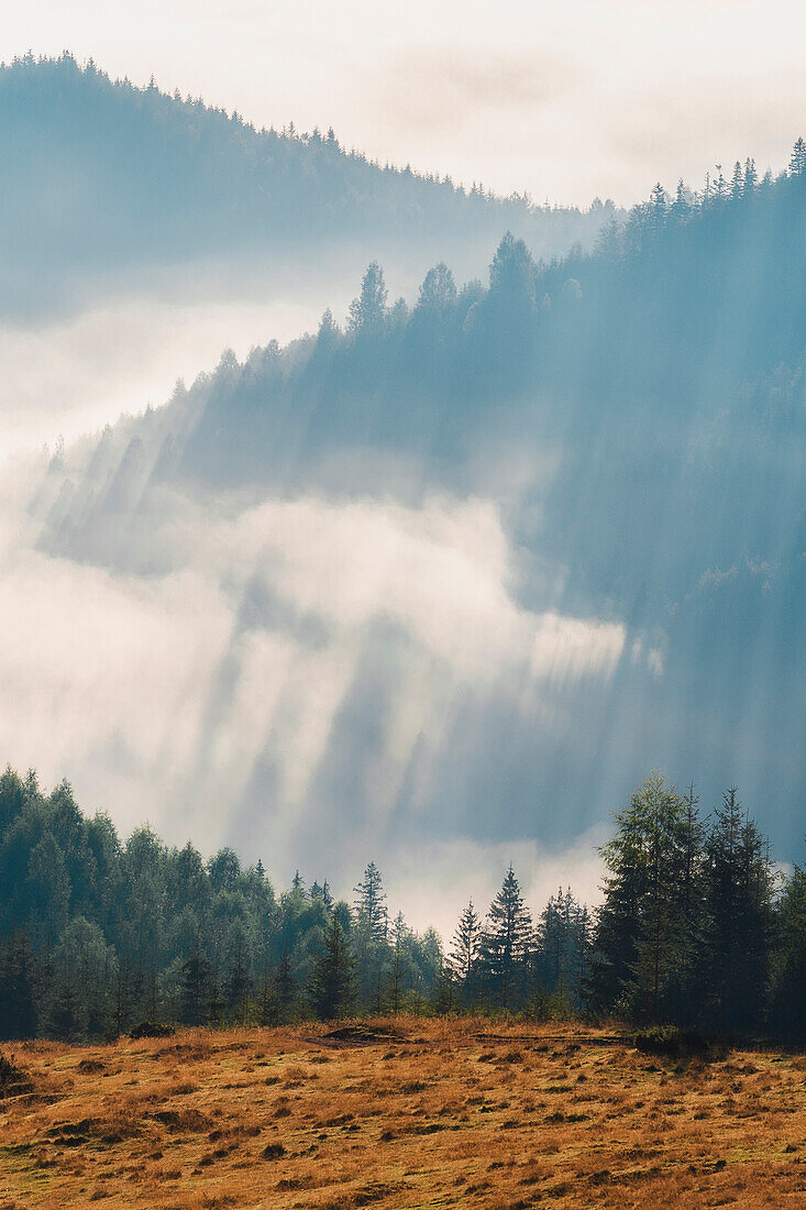 Ukraine, Ivano Frankivsk region, Verkhovyna district, Dzembronya village, Sunny foggy morning in Carpathian Mountains