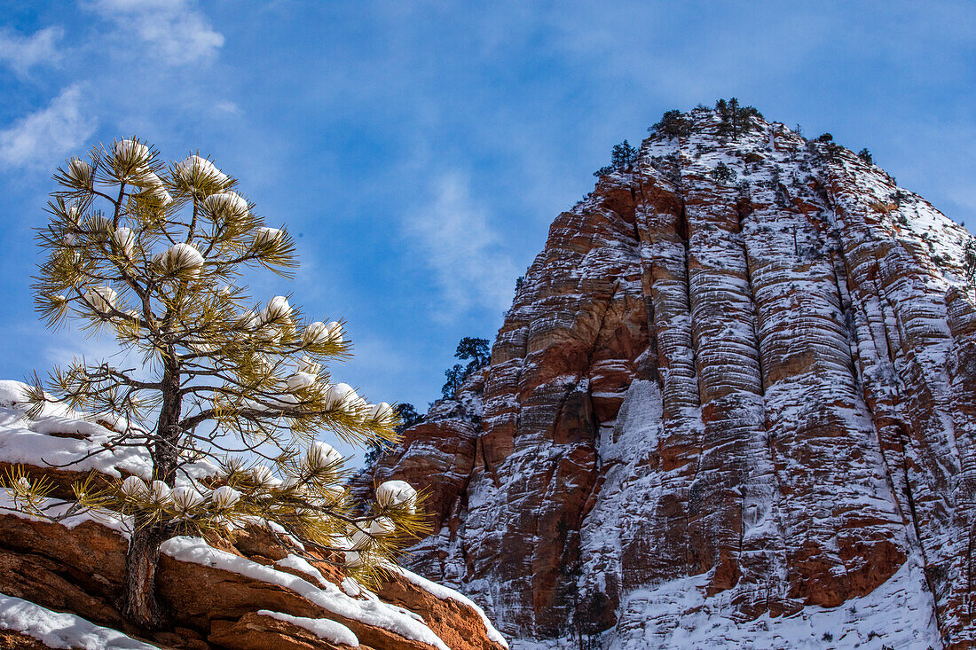 USA, Utah, Springdale, Zion National Park, Blick auf einen Berggipfel im Winter