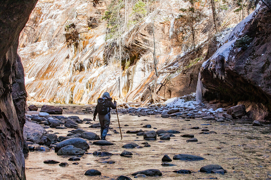 USA, Utah, Springdale, Zion National Park, Senior woman crossing stream while hiking in mountains