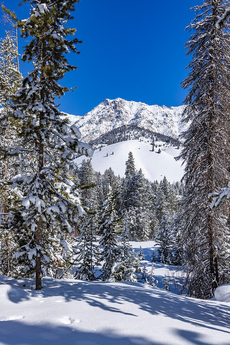 USA, Idaho, Sun Valley, Blick auf Berge und Wald im Winter