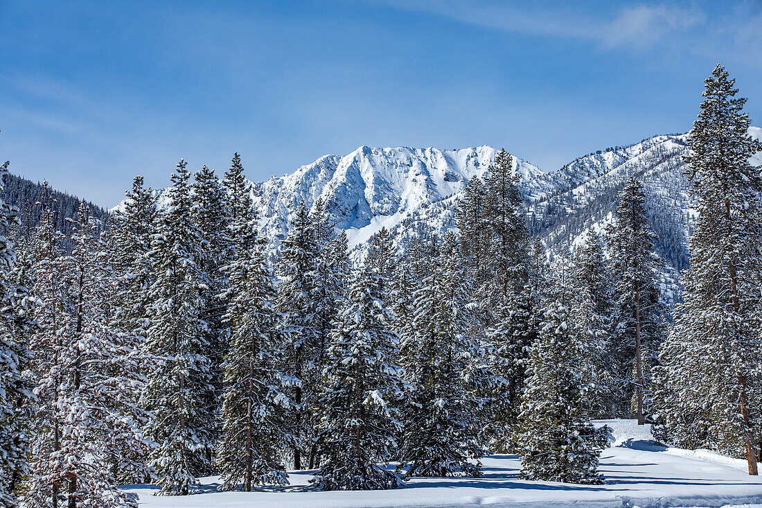 USA, Idaho, Sun Valley, Snow-covered mountain peaks and trees