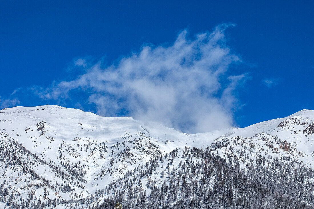 USA, Idaho, Sun Valley, Schneebedeckte Berggipfel und Bäume