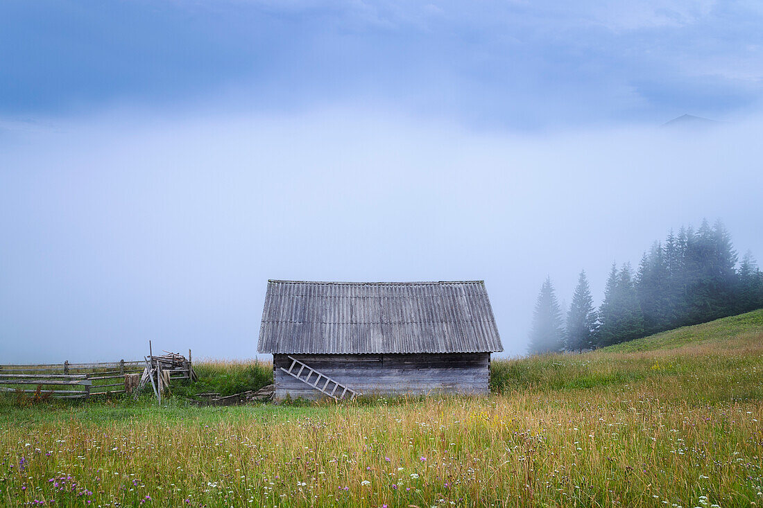 Ukraine, Ivano Frankivsk region, Verkhovyna district, Dzembronya village, Wooden hut in Carpathian Mountains