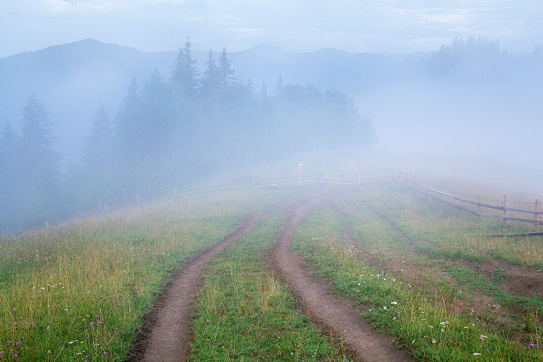 Ukraine, Ivano Frankivsk region, Verkhovyna district, Dzembronya village, Foggy rural landscape in Carpathian Mountains