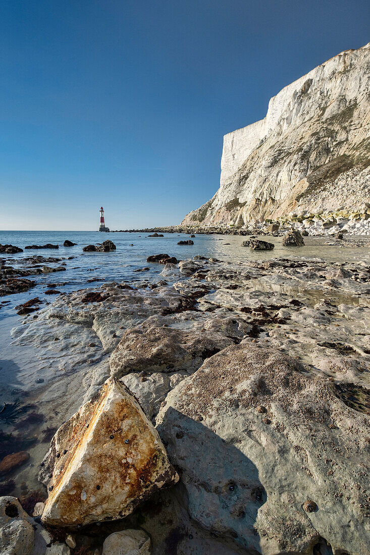 Chalk boulder below Beachy Head and Beachy Head Lighthouse, near Eastbourne, South Downs National Park, East Sussex, England, United Kingdom, Europe