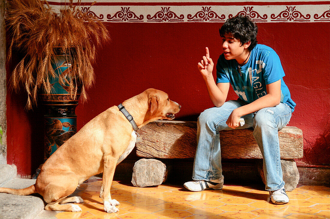 Junge (16-17) sitzt auf einer Steinbank und gestikuliert zum Hund