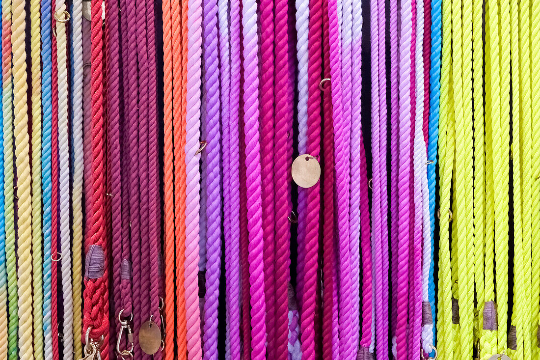 Multi-colored dog leashes hanging in row