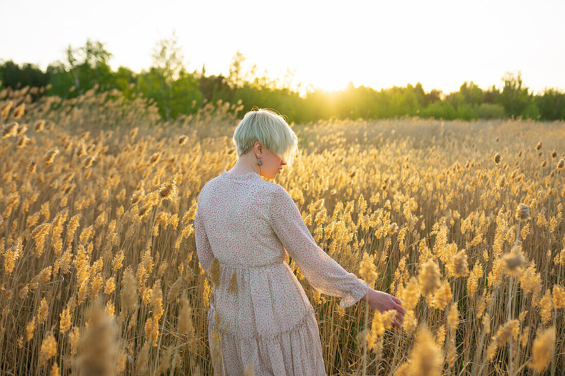Junge Frau steht im Feld und berührt Pflanzen bei Sonnenuntergang