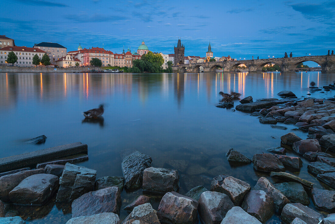 Enten in der Moldau bei der Karlsbrücke in der Dämmerung, Prag, Tschechische Republik (Tschechien), Europa