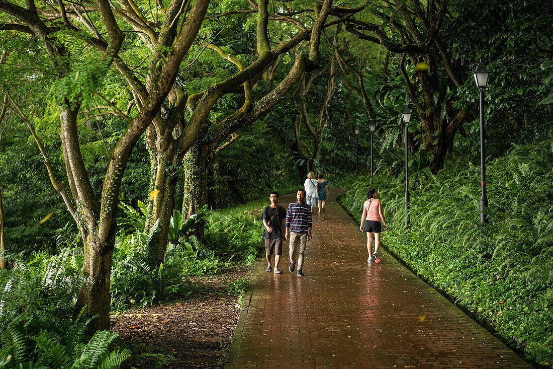 Fort Canning Park, Singapur, Südostasien, Asien