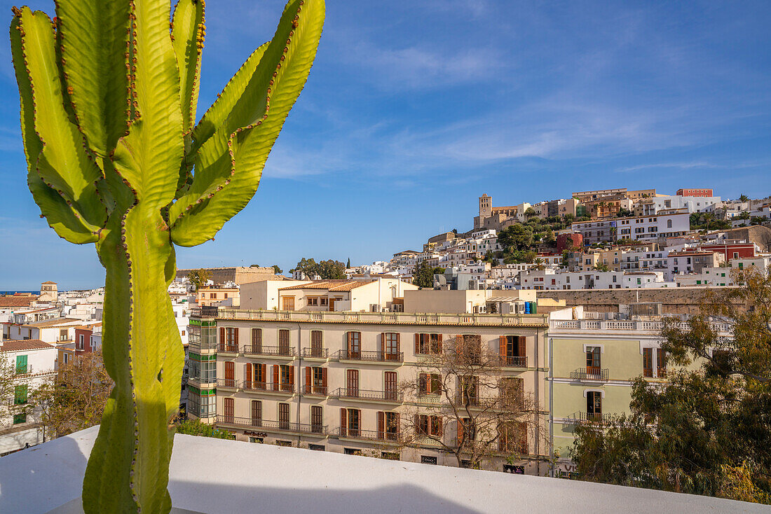 Blick von oben auf die Kathedrale, den Platz Vara de Rei und Dalt Vila, UNESCO-Weltkulturerbe, Ibiza-Stadt, Eivissa, Balearen, Spanien, Mittelmeer, Europa
