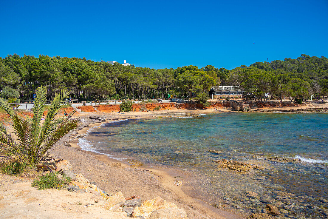 View of beach and restaurant at Cala Nieves, Santa Eularia des Riu, Ibiza, Balearic Islands, Spain, Mediterranean, Europe