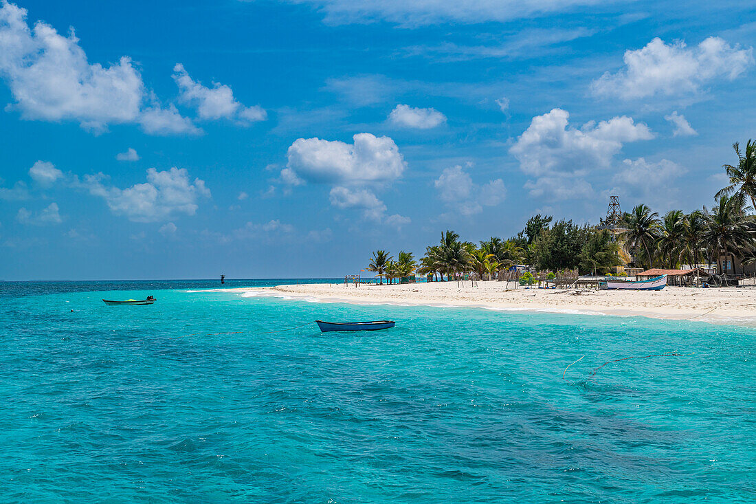 Palm fringed white sand beach, Agatti Island, Lakshadweep archipelago, Union territory of India, Indian Ocean, Asia