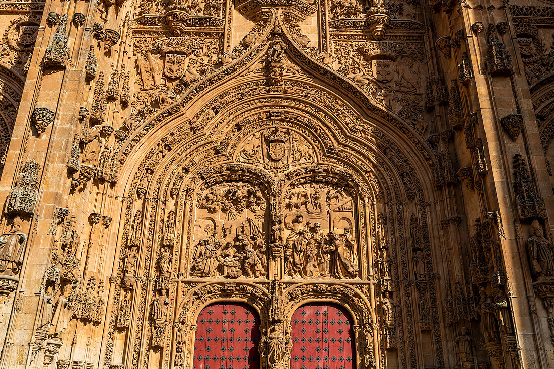 Salamanca Cathedral, Salamanca, UNESCO World Heritage Site, Castile and Leon, Spain, Europe